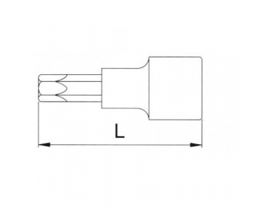 Головка торцевая с вставкой torx 1/2" T70 L=100мм
