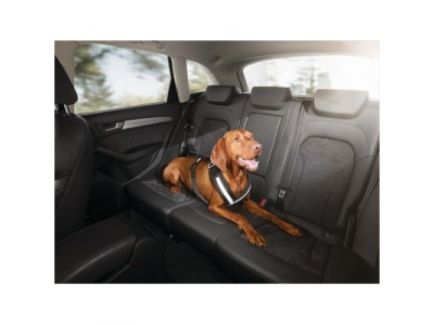 Ремень для собаки в салоне Audi, артикул 8X0019409